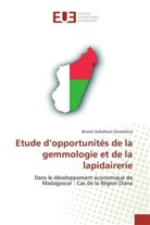 Brunel Jackobson Zananirina - Etude d'opportunités de la gemmologie et de la lapidairerie