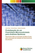 Carlos Giuzio, Lídia Paiva, Gabriel Zucoloto - Prototipação de um Fluorímetro Microcontrolado para Análises Químicas