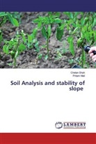 Pritam Mali, Cheta Shah, Chetan Shah - Soil Analysis and stability of slope