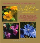 Edward Bach, Marti Sinzinger, Martin Sinzinger - Bachblüten