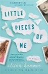 Alison Hammer, HAMMER ALISON - Little Pieces of Me