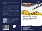 Edgardo Fonseca, Edgardo Gallardo Fonseca, Marc Morera, Marco Morera, Juan Manue Reyes, Juan Manuel Reyes - STRUTTURA DEL CAPITALE OTTIMALE PER WALMART