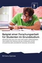 Birhanu Ayenew - Beispiel einer Forschungsarbeit für Studenten im Grundstudium