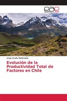 Jorge Acuña Maldonado - Evolución de la Productividad Total de Factores en Chile