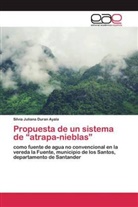 Silvia Juliana Duran Ayala - Propuesta de un sistema de "atrapa-nieblas"