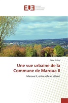 César D Kitio - Une vue urbaine de la Commune de Maroua II