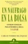 Carlos Torres Blanquez - Un Naufrago en la Bolsa: Consejos Sencillos Para Entender la Bolsa y Ganar