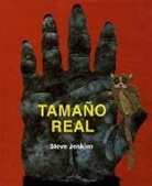 Steve Jenkins - Tamano Real