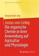 Geor Schwedt, Georg Schwedt - Justus von Liebig