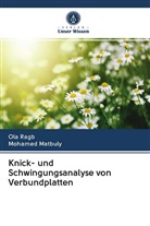 Mohamed Matbuly, Ol Ragb, Ola Ragb - Knick- und Schwingungsanalyse von Verbundplatten