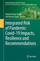 Manish Kumar Goyal, Anil Kumar Gupta, Indian Institute of Technology, Indian Institute of Technology Indore, Institute o, Institute of Disas... - Integrated Risk of Pandemic: Covid-19 Impacts, Resilience and Recommendations