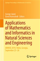 Georg Jaiani, George Jaiani, Natroshvili, Natroshvili, David Natroshvili - Applications of Mathematics and Informatics in Natural Sciences and Engineering