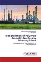 Madhuri Ramachandr Basutkar, Madhuri Ramachandra Basutkar, C T Shivannavar, C. T Shivannavar, C.T Shivannavar - Biodgradation of Polycyclic Aromatic Azo Dyes by Microorganisms