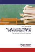Desire Takudzwa Jinga - Analytical, semi-Analytical and Numerical Methods
