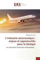 Baïdy Birame Touré - L'industrie aéronautique : enjeux et opportunités pour le Sénégal