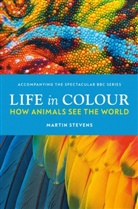 Dr. Martin Stevens, Martin Stevens - Life in Colour
