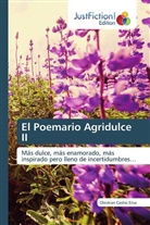 Christian Castro Silva - El Poemario Agridulce II