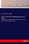John T Gilbert, John T. Gilbert, Henry James - Account of Facsimiles of National Manuscripts of Ireland