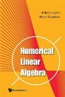 William Layton, Myron Mike Sussman, Myron Sussman, Myron Mike Sussman, William Layton, William Layton &amp; Myron Sussman - Numerical Linear Algebra