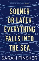 Sarah Pinsker - Sooner Or Later Everything Falls Into the Sea