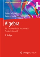 Clemens Fuchs, Gisber Wüstholz, Gisbert Wüstholz - Algebra
