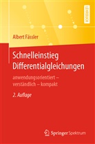 Albert Fässler - Schnelleinstieg Differentialgleichungen