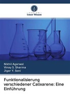 Nikhi Agarwal, Nikhil Agarwal, Vinay Sharma, Vinay S Sharma, Vinay S. Sharma, Jigar Y Soni... - Funktionalisierung verschiedener Calixarene: Eine Einführung