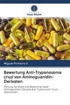Miguel Pinheiro, Miguel Pinheiro II - Bewertung Anti-Trypanosoma cruzi von Aminoguanidin-Derivaten