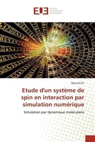 Moncef ATI - Etude d'un système de spin en interaction par simulation numérique