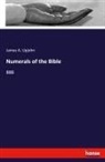 James A Upjohn, James A. Upjohn - Numerals of the Bible