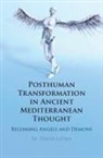 M David Litwa, M. David Litwa, M. David (Australian Catholic University Litwa, Litwa M. David - Posthuman Transformation in Ancient Mediterranean Thought