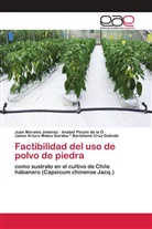Barto, Jaime Arturo Ma Bartolomé Cruz Galindo, Jaime Arturo Matus Gardea Bartolomé Cruz Galindo, Jua Morales Jiménez, Juan Morales Jiménez, Anabe Pinzón de la O... - Factibilidad del uso de polvo de piedra