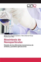 Melis de los Ángeles Quinteros, Melisa de los Ángeles Quinteros, Paulina Laura Páez, María Gab Paraje, María Gabriela Paraje - Biosíntesis de Nanopartículas