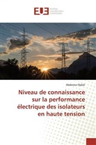 Abdenour Djalali - Niveau de connaissance sur la performance électrique des isolateurs en haute tension