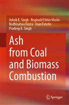 Joan Esterle, Bodhis Hazra, Bodhisatwa Hazra, Reginald Ebhi Masto, Reginald Ebhin Masto, Ashok Singh... - Ash from Coal and Biomass Combustion