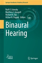 Richard R. Fay, Matthe Goupell, Matthew J. Goupell, Matthe J Goupell, Matthew J Goupell, Ruth Y. Litovsky... - Binaural Hearing