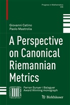 Giovann Catino, Giovanni Catino, Paolo Mastrolia - A Perspective on Canonical Riemannian Metrics