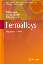 Aitbe Bizhanov, Aitber Bizhanov, Vikto Dashevskii, Viktor Dashevskii, Mikhai Gasik, Mikhail Gasik - Ferroalloys