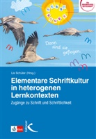 Li Schüler, Lis Schüler - Elementare Schriftkultur in heterogenen Lernkontexten