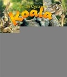 Bobbie Kalman, Heather Levigne - Koala