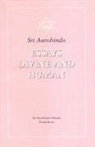 Aurobindo - Essays Divine and Human