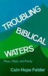Cain Hope Felder, Cain Hope - Troubling Biblical Waters