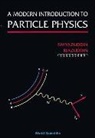 Fayyazuddin, Riazuddin - A Modern Introduction to Particle Physics