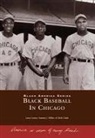 Dick Clark, Larry Lester, Sammy J. Miller - Black Baseball in Chicago