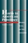 Todd R Clear, Todd R. Clear - Harm in American Penology