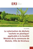 Théo KANENE - La valorisation de déchets ''sachets en plastique'' applicable à la localité Mutoto de la commune de Matete, Ville de Kinshasa