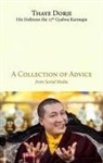 Thaye Dorje, SA SA THAYA  DORJA, THAYA  DORJA   SA SA, SA SAIN THAYE DORJE - A COLLECTION OF ADVICE
