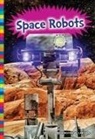 Kirsten W Larson, Kirsten W. Larson - SPACE ROBOTS
