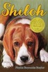 Phyllis Reynolds Naylor, Phyllis Reynolds Naylor - Shiloh