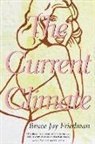 Bruce Jay Friedman, Friedman Bruce Jay - The Current Climate